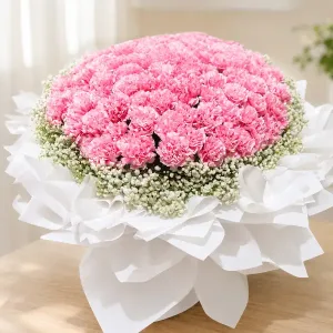 100 Pink Carnation Bouquet – Romantic Flower Philippines gift